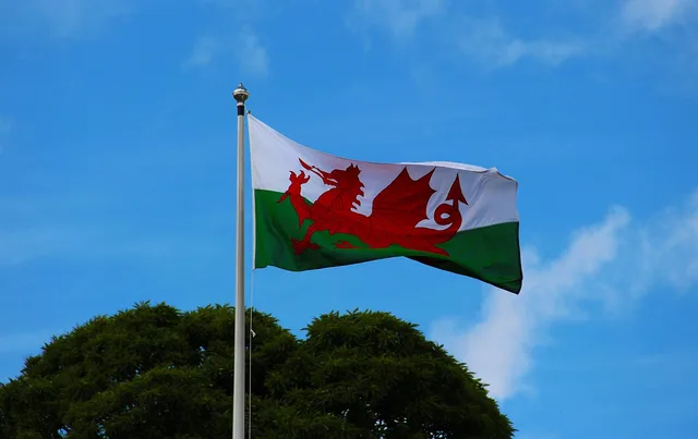 welsh flag, pennant, welsh, wales, flag, banner, nation, emblem, country, national, symbol, icon, sign, dragon, insignia, wind, standard, patriotic, ensign, patriotism, official, original, nationality, design, streamer, blue banner, blue dragon, welsh flag, welsh flag, welsh flag, welsh flag, welsh flag, welsh, wales. Bilingual social media management in Wales: a planning guide